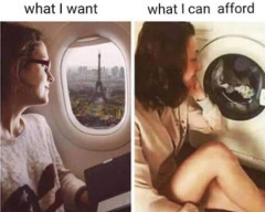 vacation I can afford meme