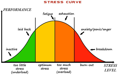 is this a bell curve or not