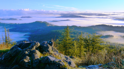 Spencer Butte morning view