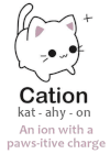 a cute cat ion