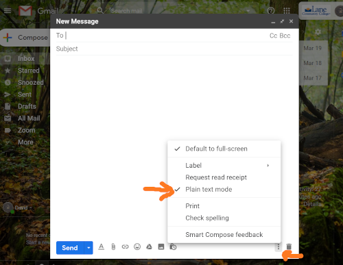 screen shot of turning on plain text mode