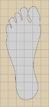 picture of foot traced on graph paper