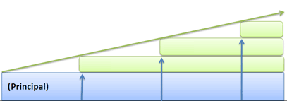 Simple Interest Growth