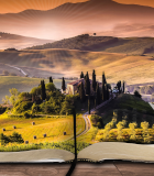 book report
