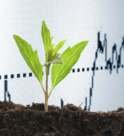 investor responsibility