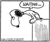 Snoopy vulture